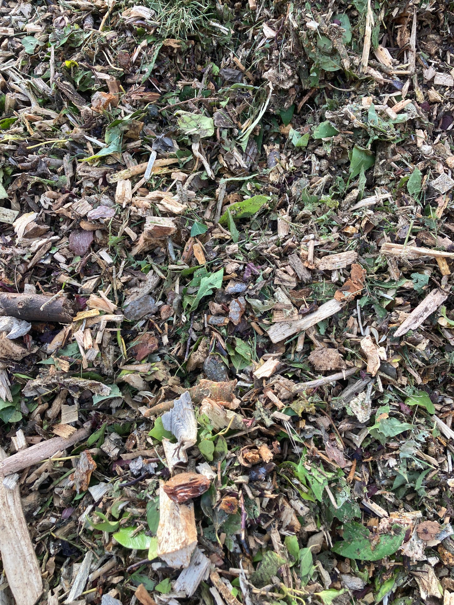 Wood Chips - 3 cubic metre loose load